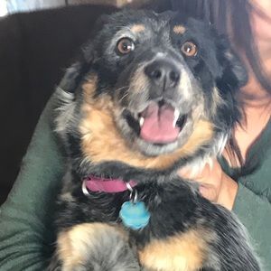 Meet your Posher, Anna